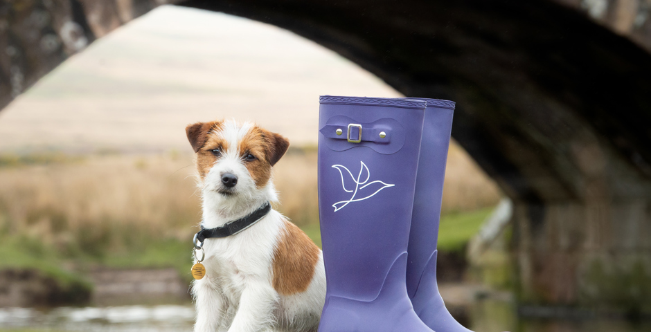 Jack russell terrier by a pair of purple wellies with the Wildanet logo
